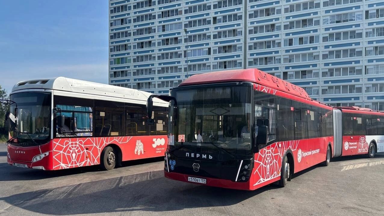 Пермякам в эти выходные станет проще добраться до зоопарка