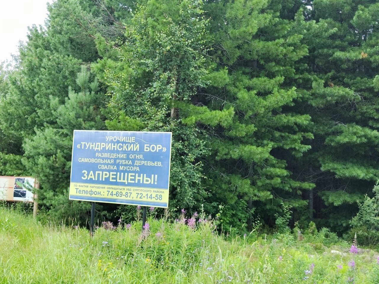 В Тундрино есть, что посмотреть