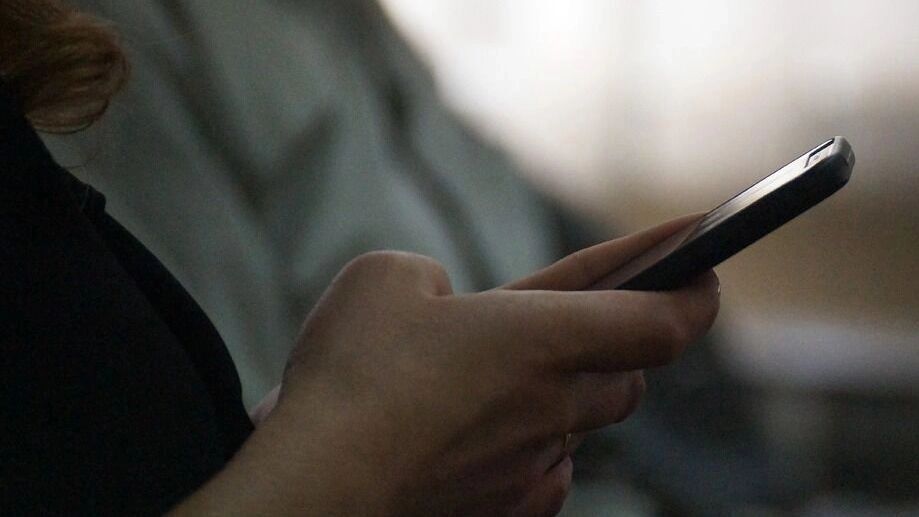 В России начались разговоры о создании «белого контура» Интернета