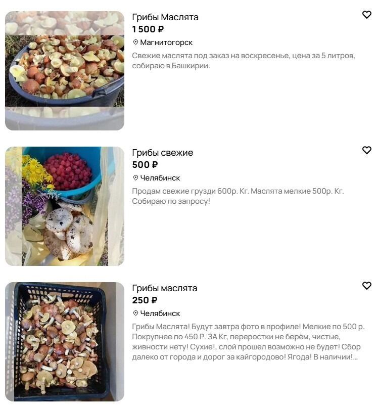 Маслята — относительно бюджетный вариант