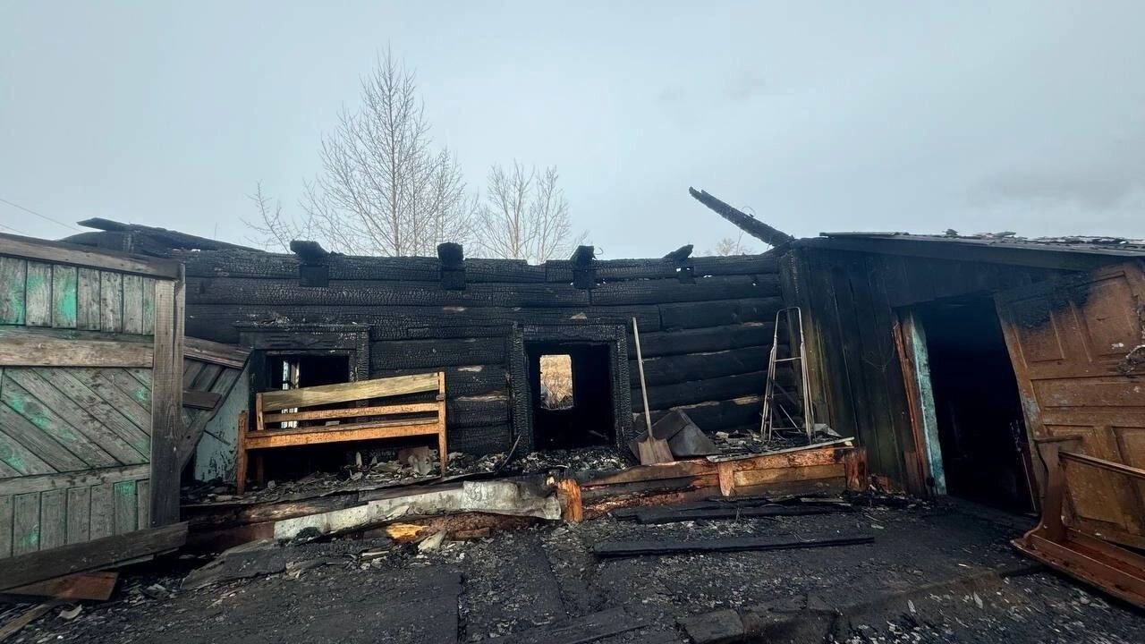 Можно ли давать котенку пирантел. Можно ли давать котенку пирантел