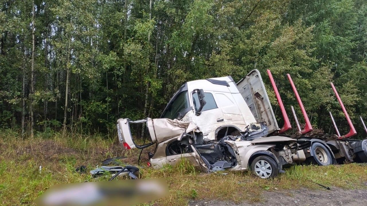 Женщина погибла при лобовом столкновении иномарки с фурой в Удмуртии
