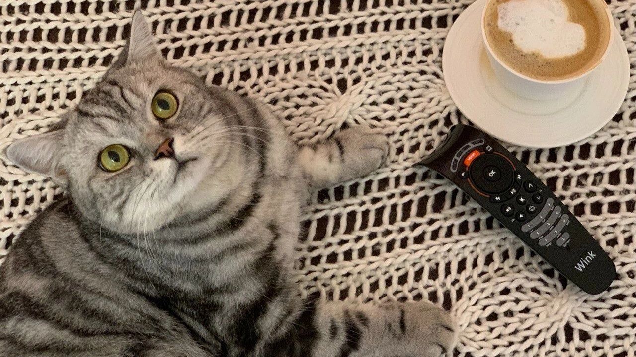 Wink раскрыл предпочтения тюменских зрителей: «Фишер» и «Ландыши» — в топе