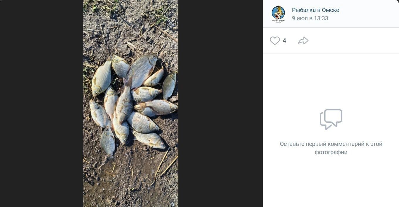 Клюет и вблизи деревни Степное по Исилькульскому тракту