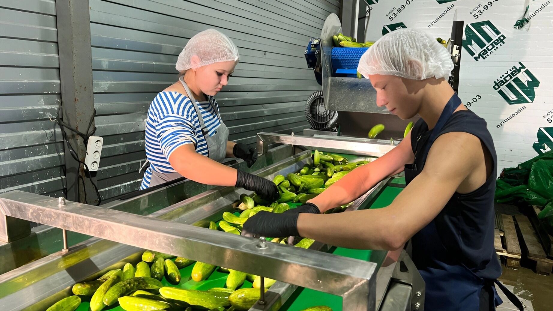 Миллионы государственных инвестиций меняют сельское хозяйство Хабаровского края