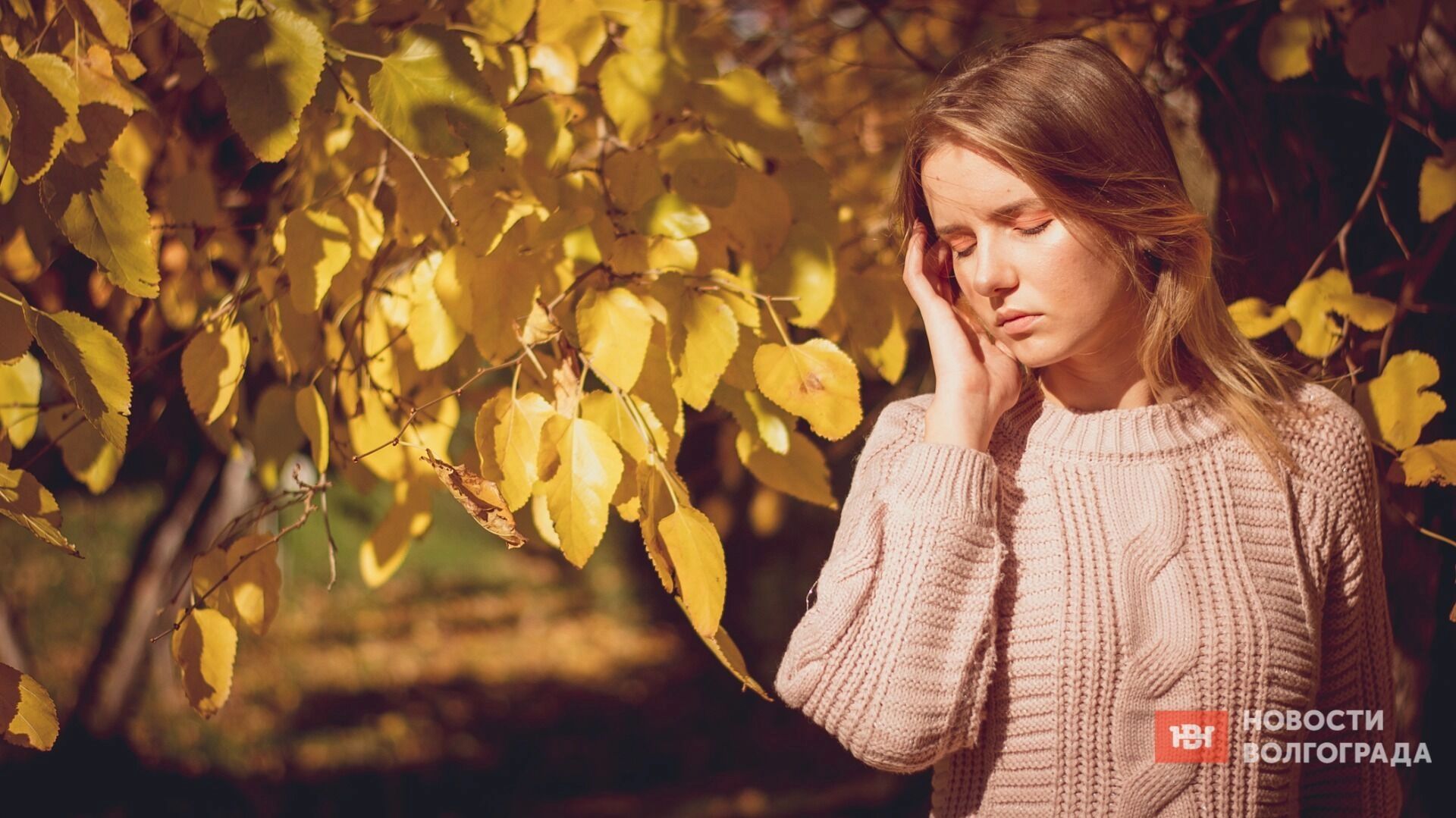 Это не 3 сентября! Только меломан пройдет тест про песни ноября