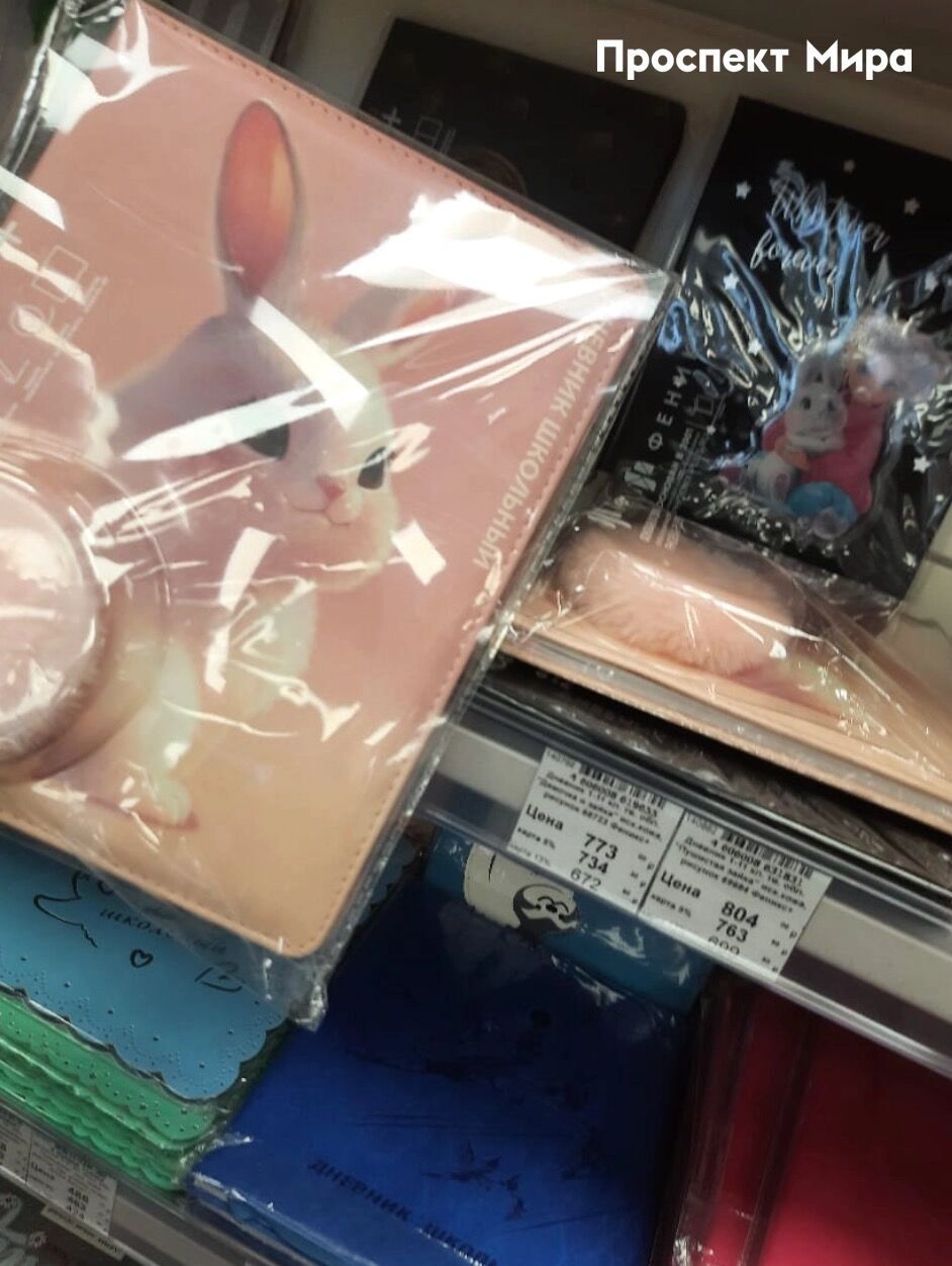 Необычные дневники в&nbsp;магазине «Пиши, рисуй»