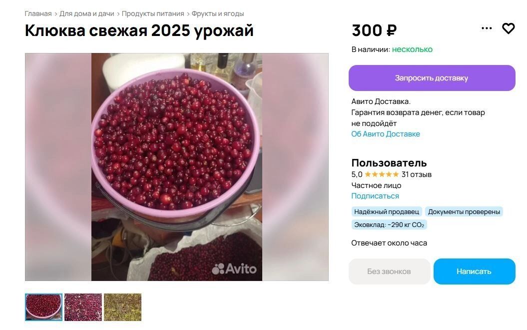 Клюкву в Омск везут из Томской области