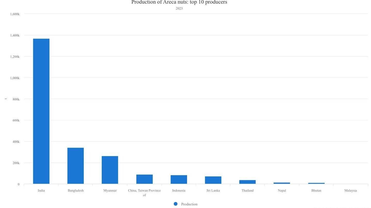 Смертельный тренд. За что популярный в РФ бетельный орех прозвали «плодом дьявола»?