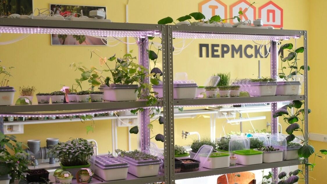 В Прикамье появится еще семь агроклассов до конца года
