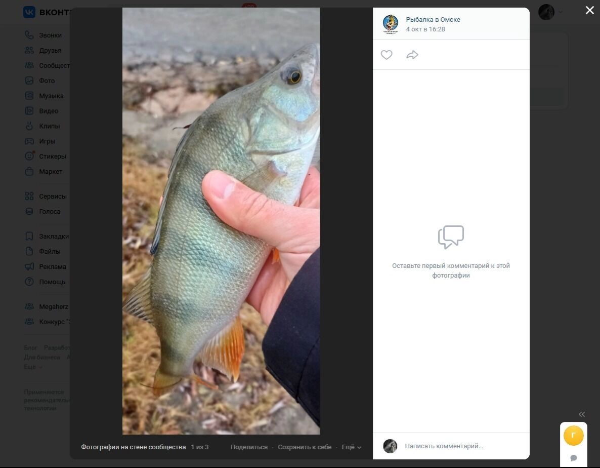 Городской улов