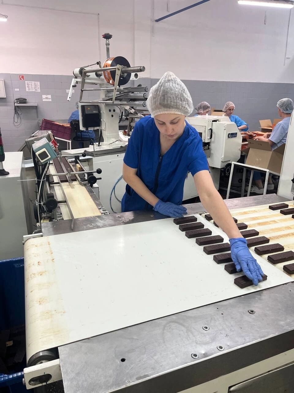 Омские торговые компании начнут работать с фабрикой «Витьба» в Беларуси