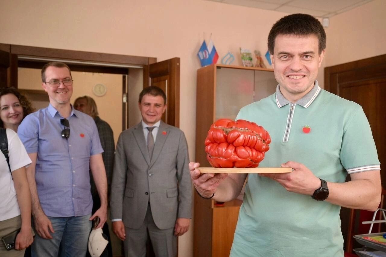 Помидор-победитель