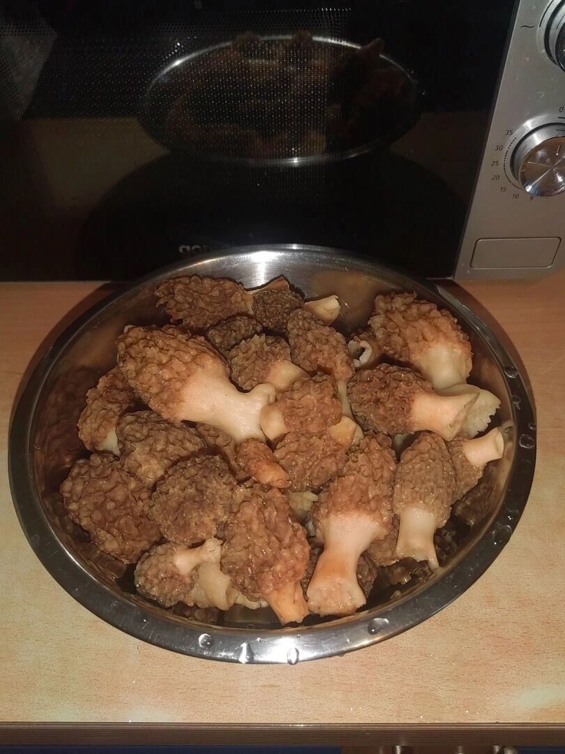 Строчки в Нижнем Новгороде