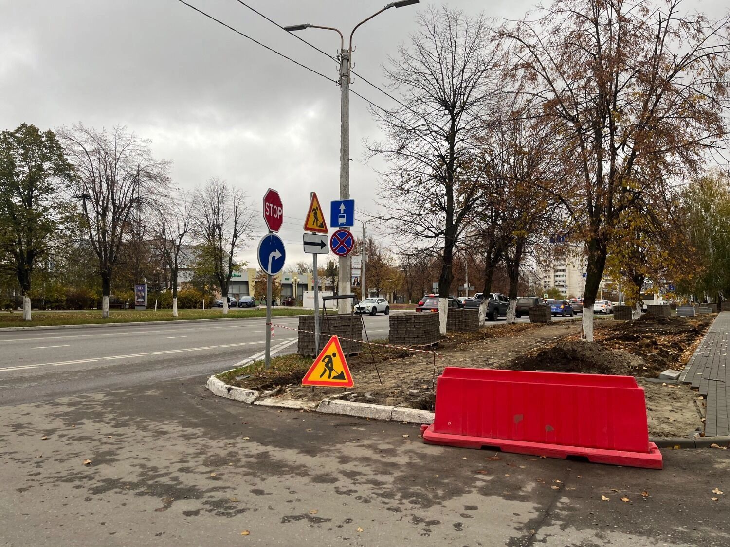 Будущая велодорожка на проспекте Ватутина