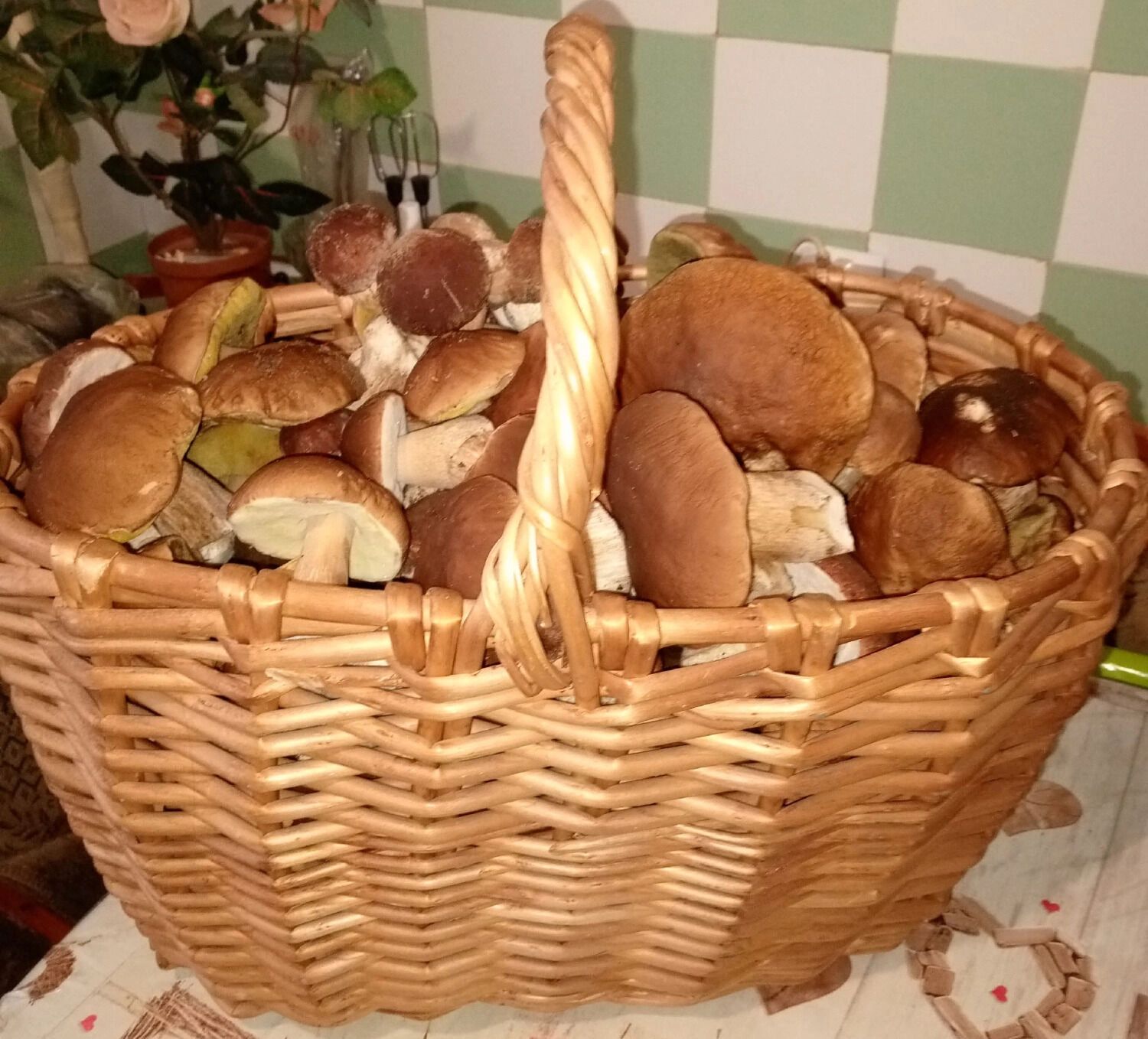 Грибы из Борского округа