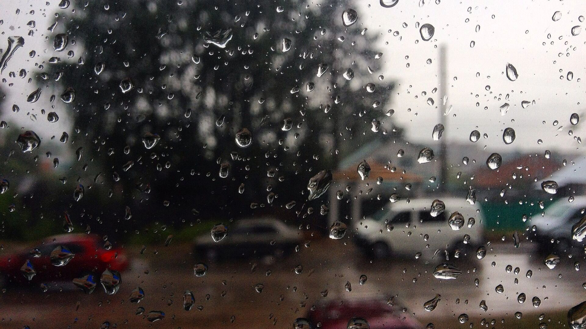 МЧС предупреждает о сильных ливнях и шквалистом ветре в Волгоградской области