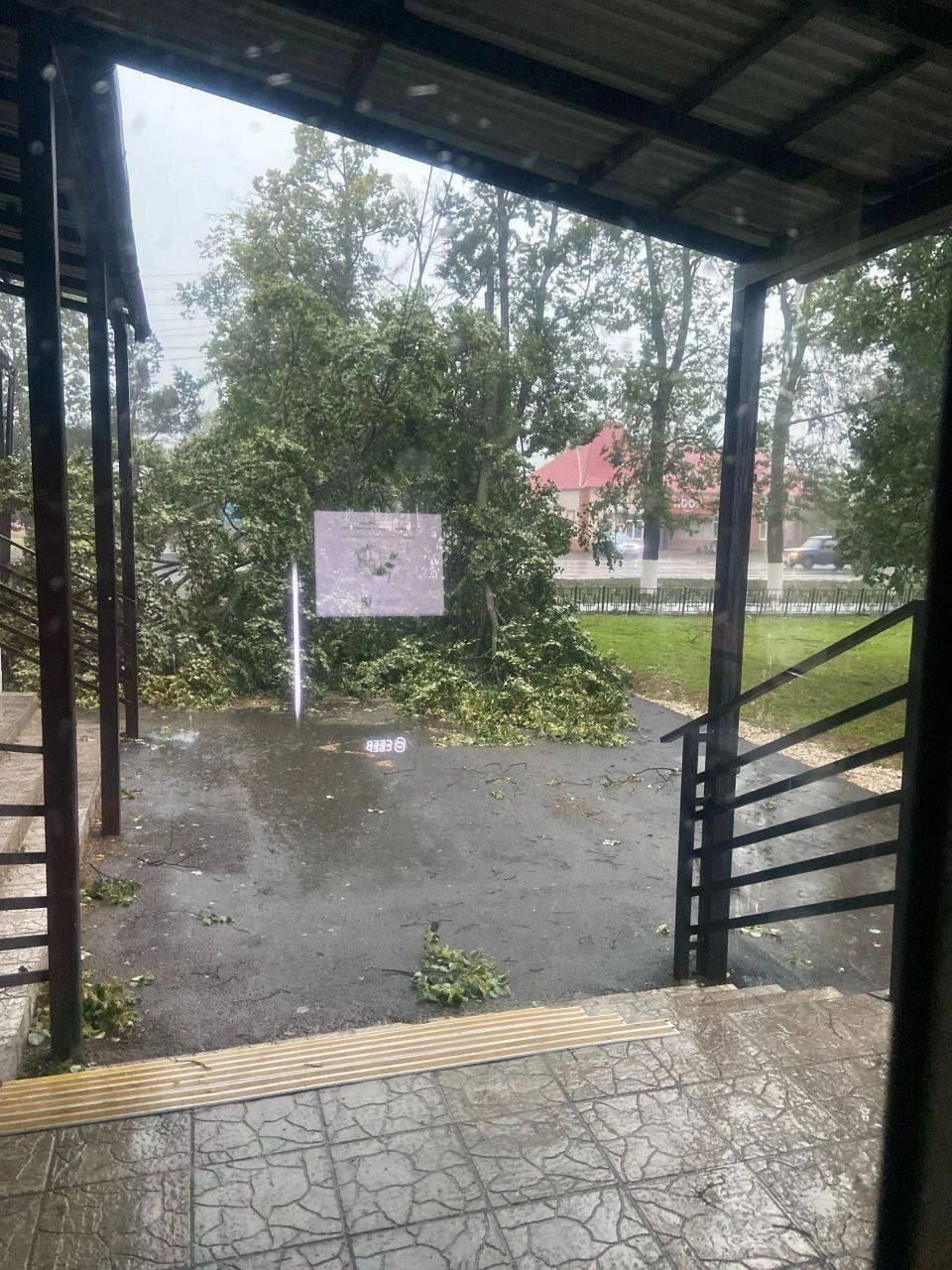 Ураган прошелся по рабочему поселку Шаранга в Нижегородской области
