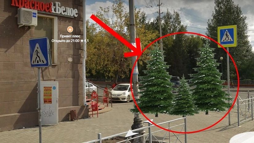 Примерно здесь обычно продают ели и сосны