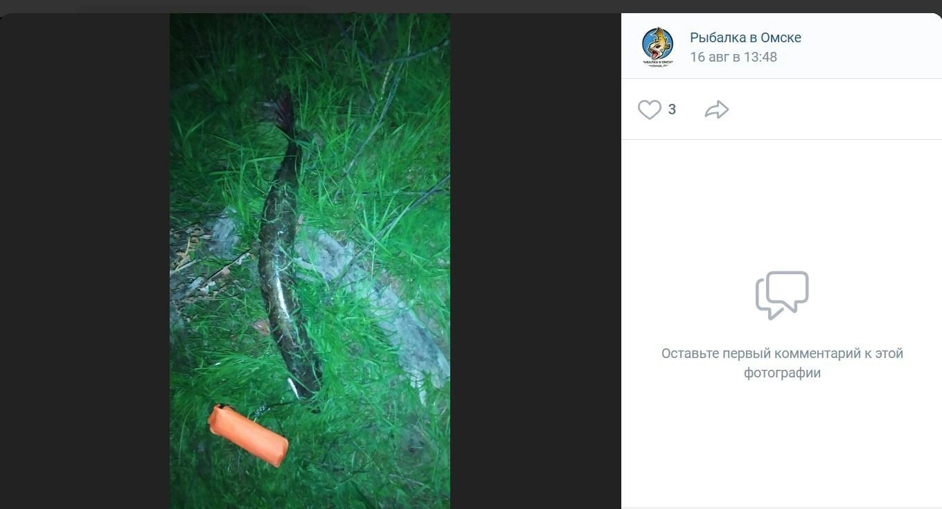 Почти ночной улов в секретных местах