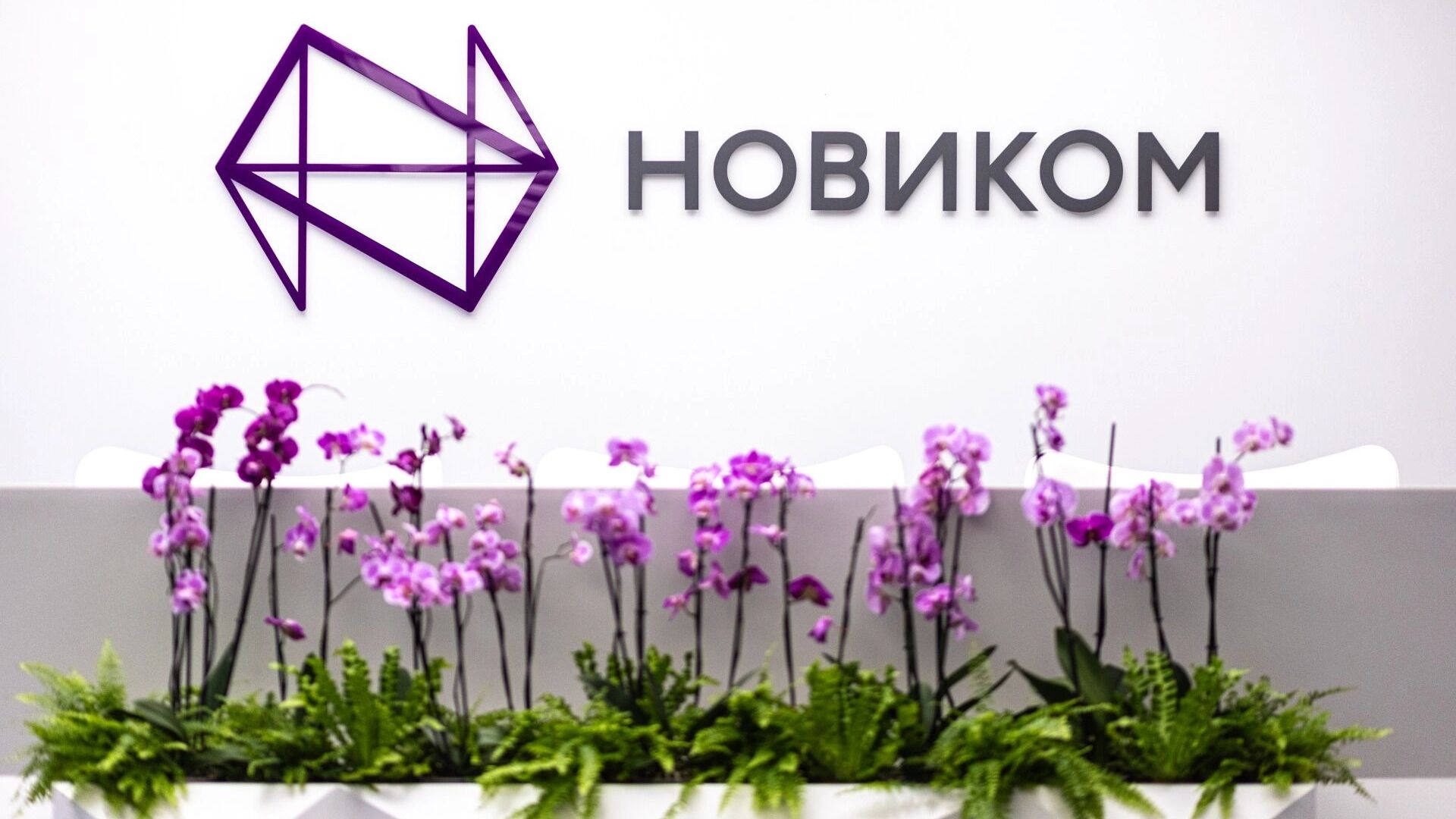 НОВИКОМ показывает стабильное улучшение финансовых показателей