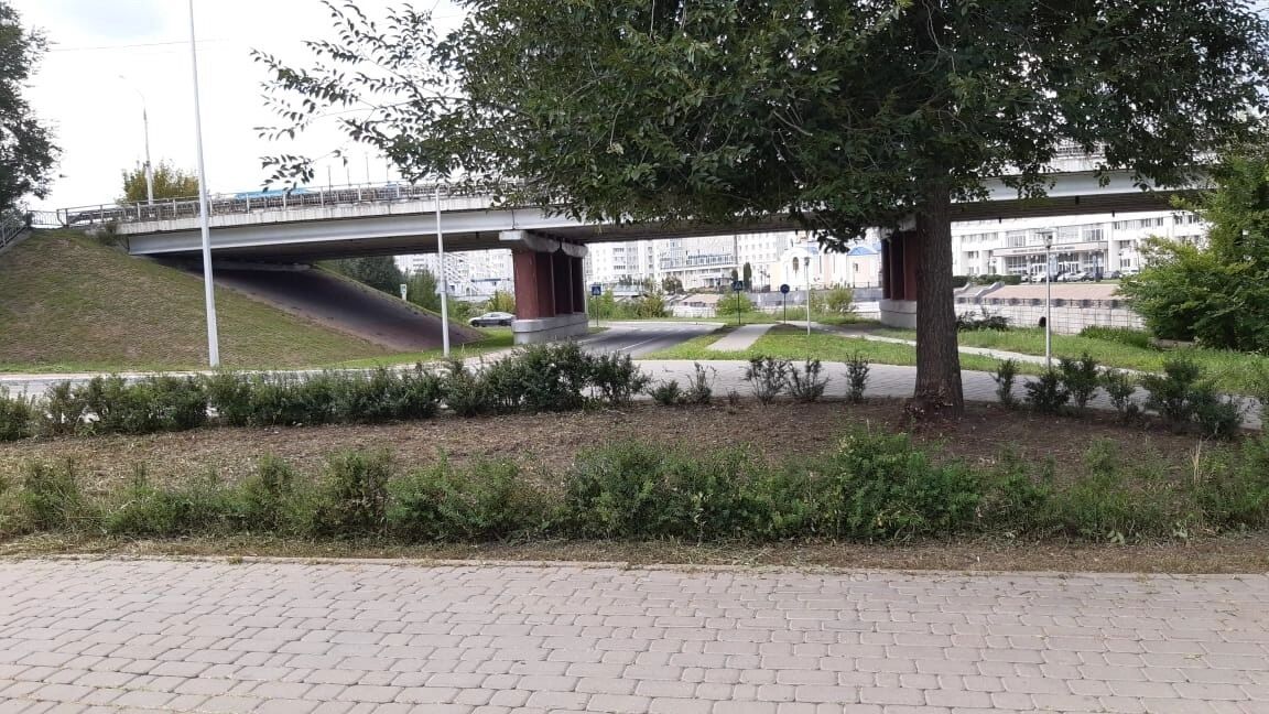 Газон после работы коммунальщиков в&nbsp;центре