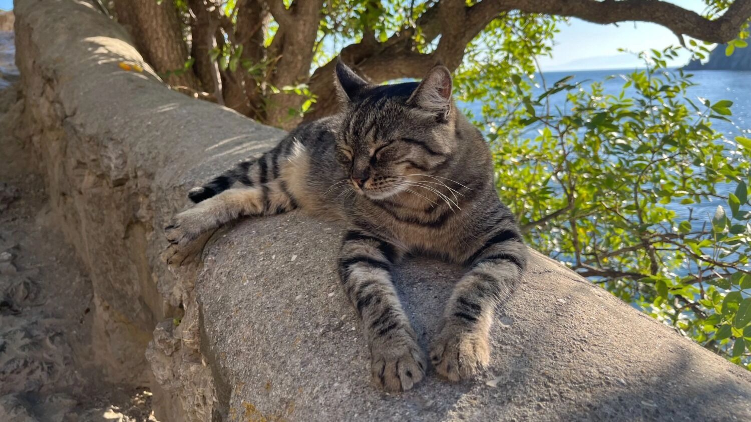 Кошечка по пути к Сквозному гроту