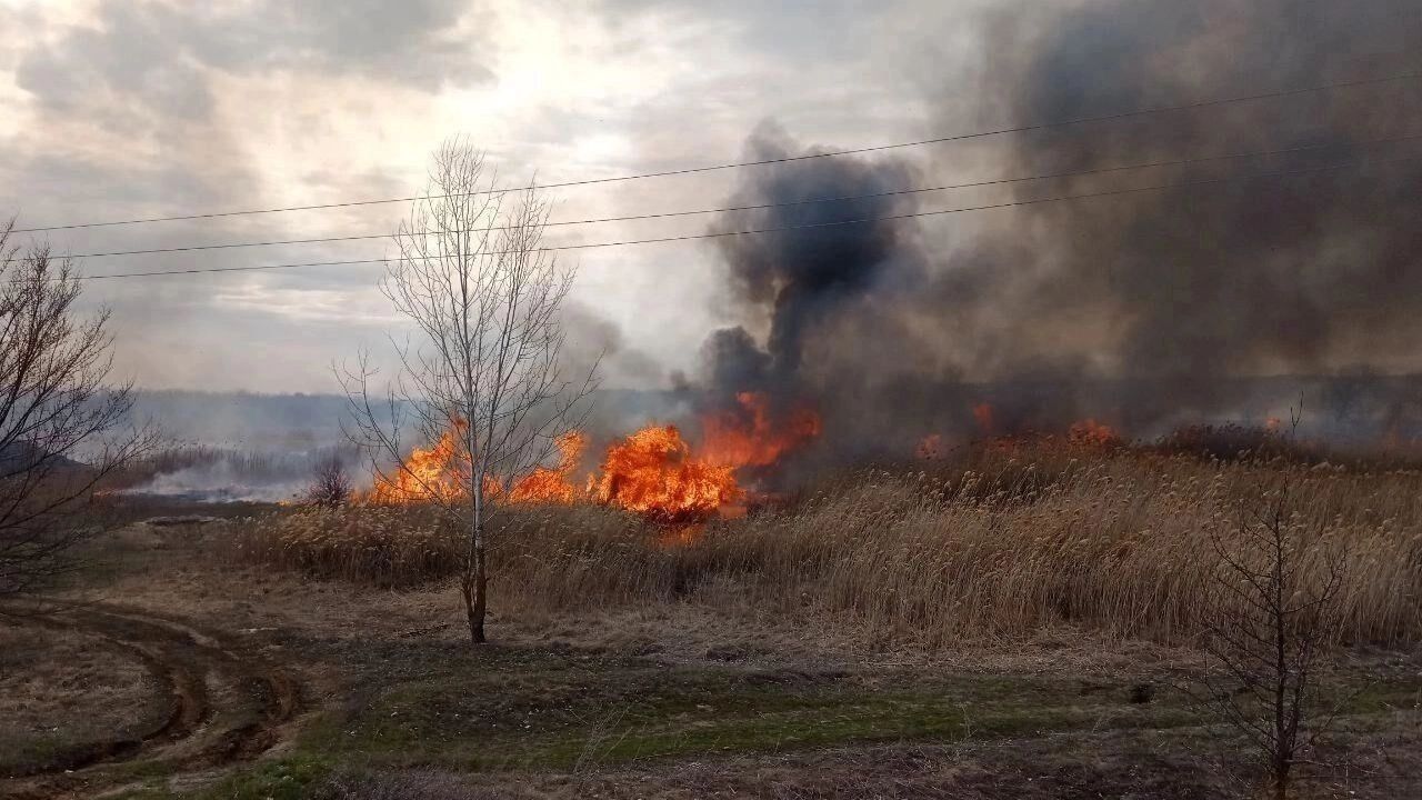 В Волгоградской области объявлена чрезвычайная пожароопасность