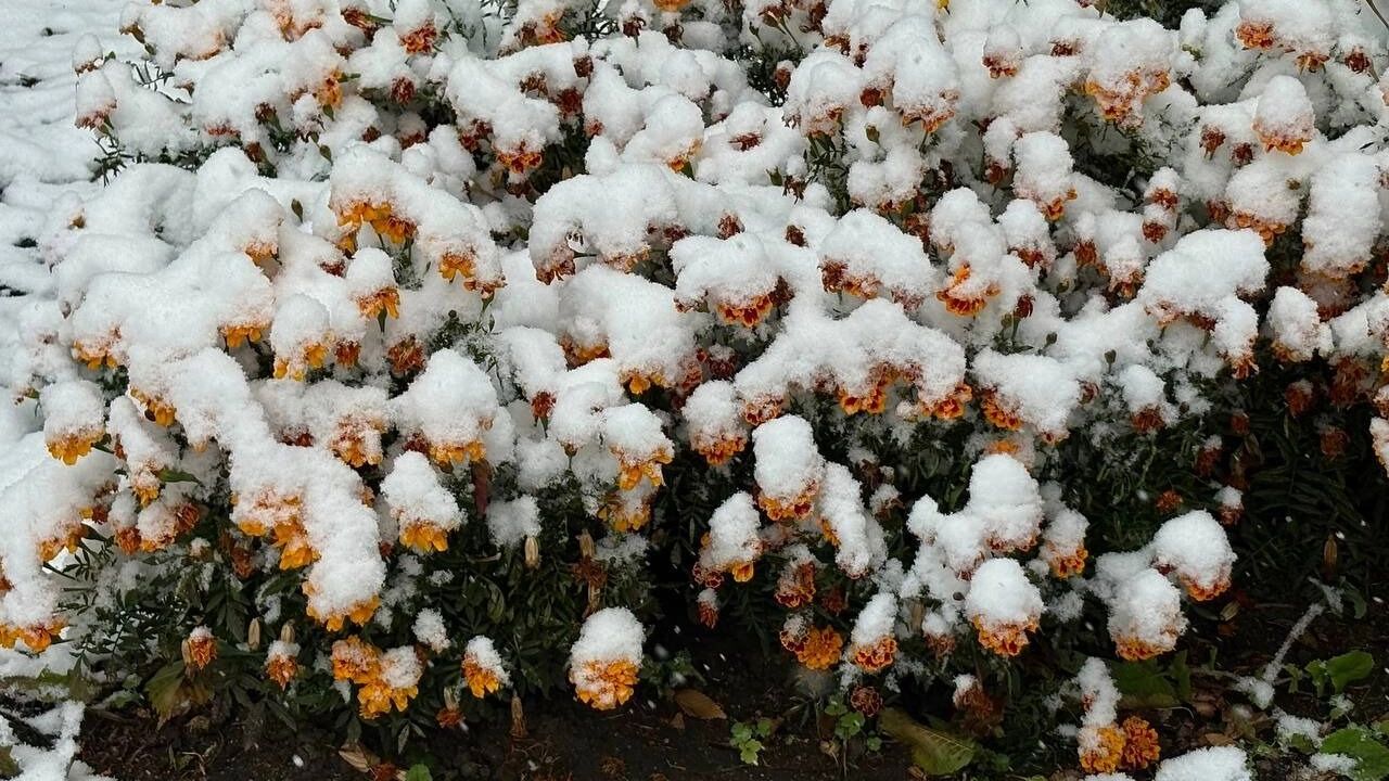 Омские дорожники перешли в режим усиления, чтобы справиться с последствиями стихии