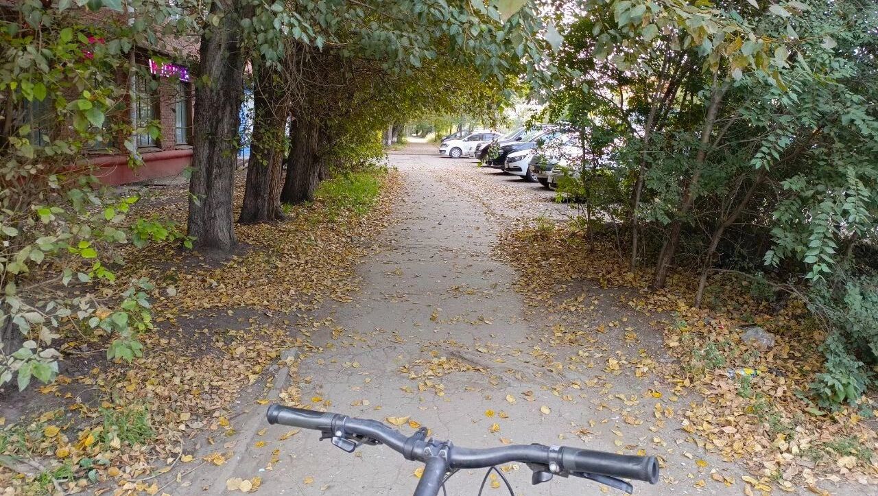 Николай Эйхвальд