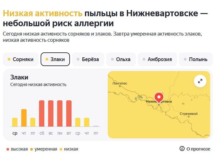 Наиболее активна пыльца сорняков и&nbsp;злаков