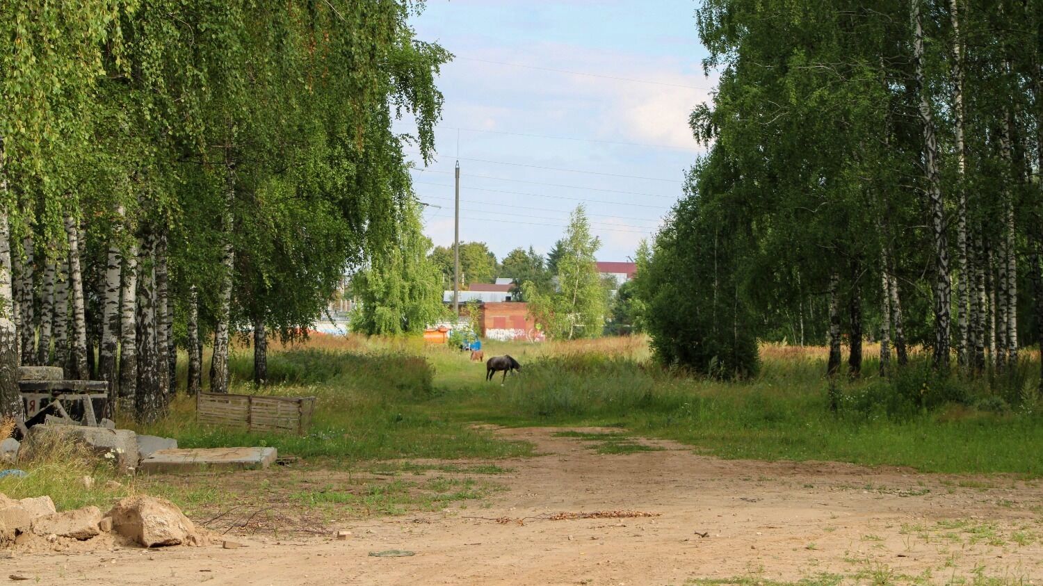 Местность в районе стыка будущего дублера Оренбургского тракта и дороги у Мирного