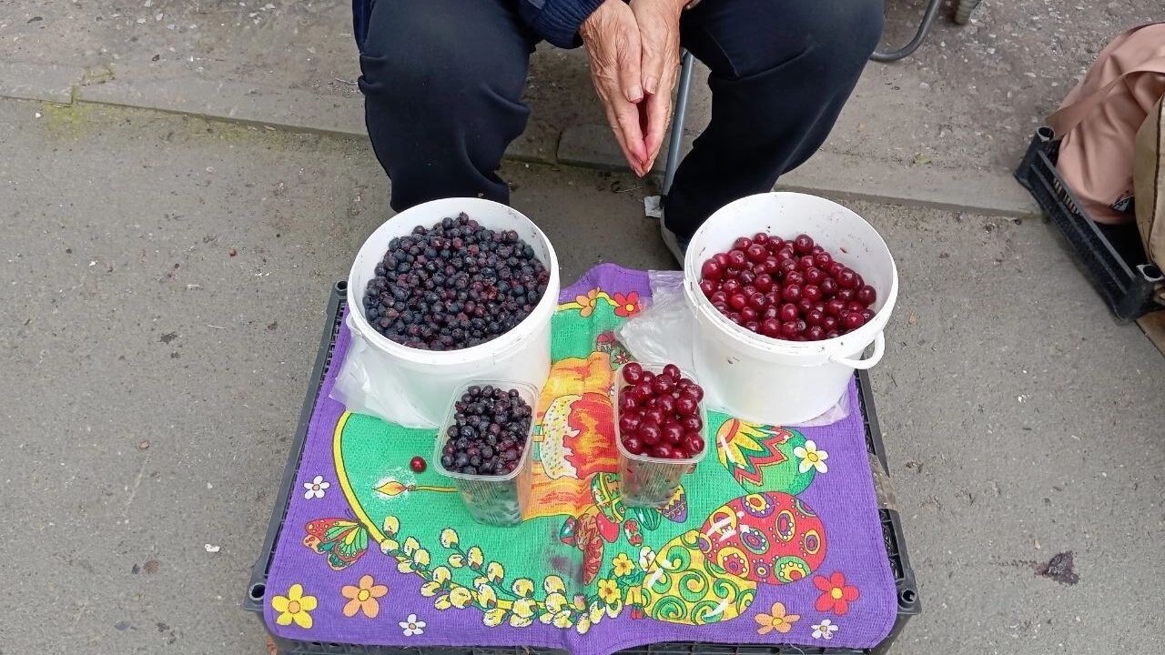 Юрга и вишня
