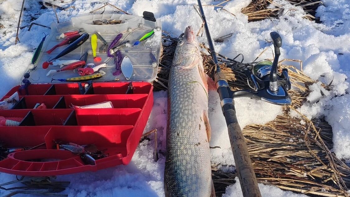 Улов одного из&nbsp;омских рыбаков, полученный, по&nbsp;его словам, за&nbsp;2&nbsp;часа