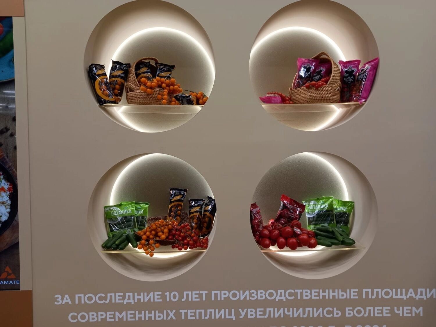 Будни ПМЭФ-2025