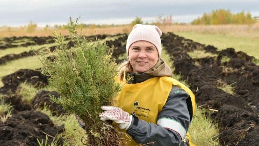 Дмитрий Патрушев: в России высаживается порядка 70 миллионов деревьев в год