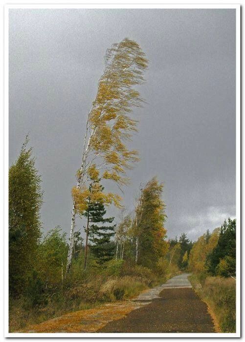 Фотографии Николая Осоки похожи на живописные произведения