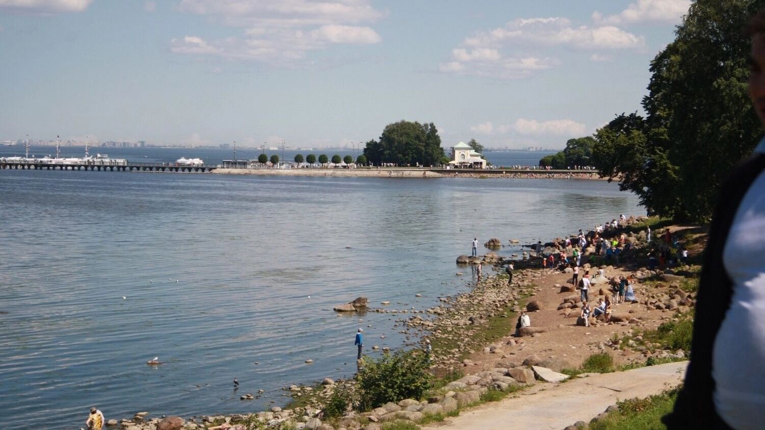 Город Петергоф