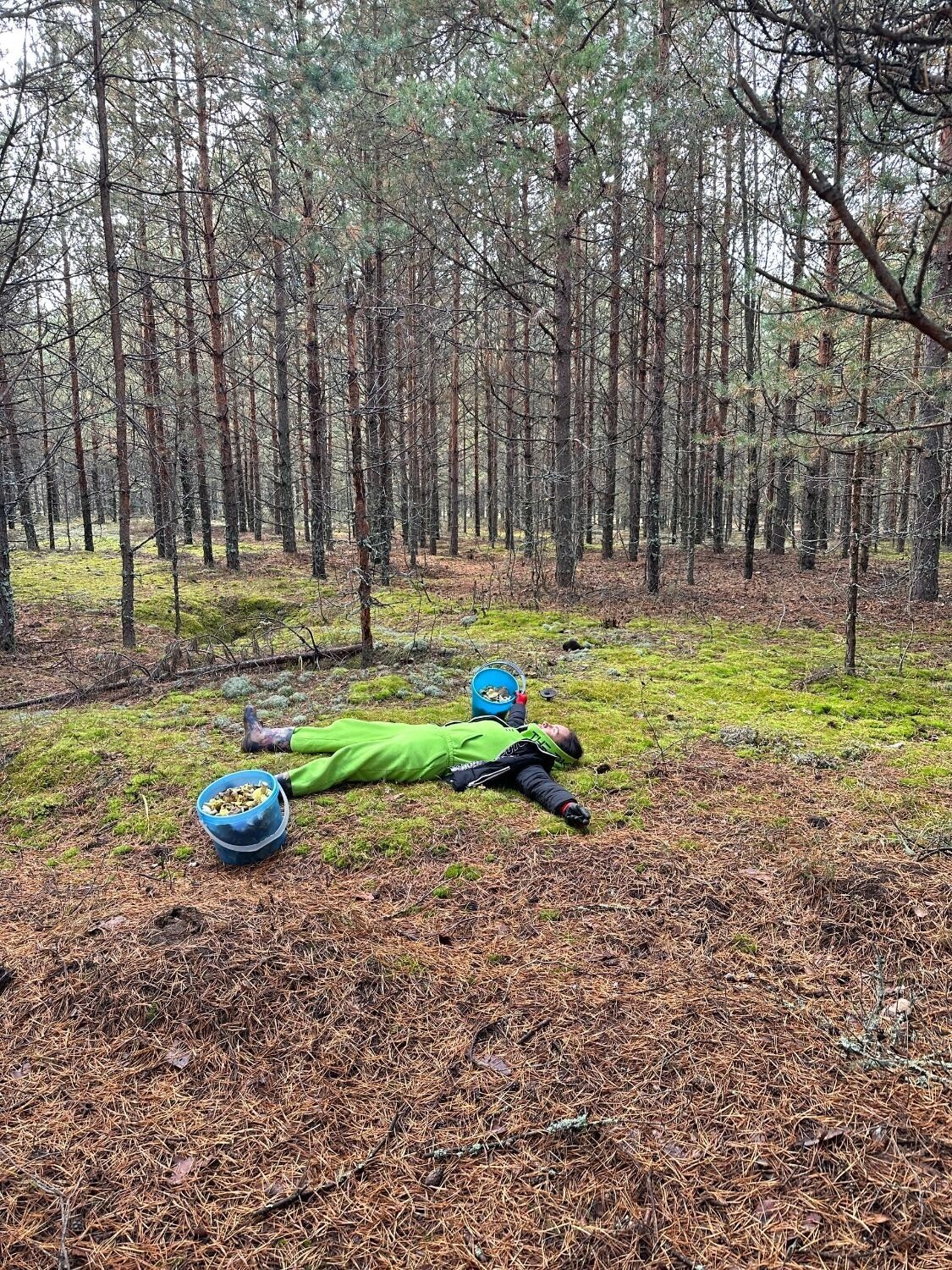 Нижегородка набрала два ведра рядовок во второй половине октября