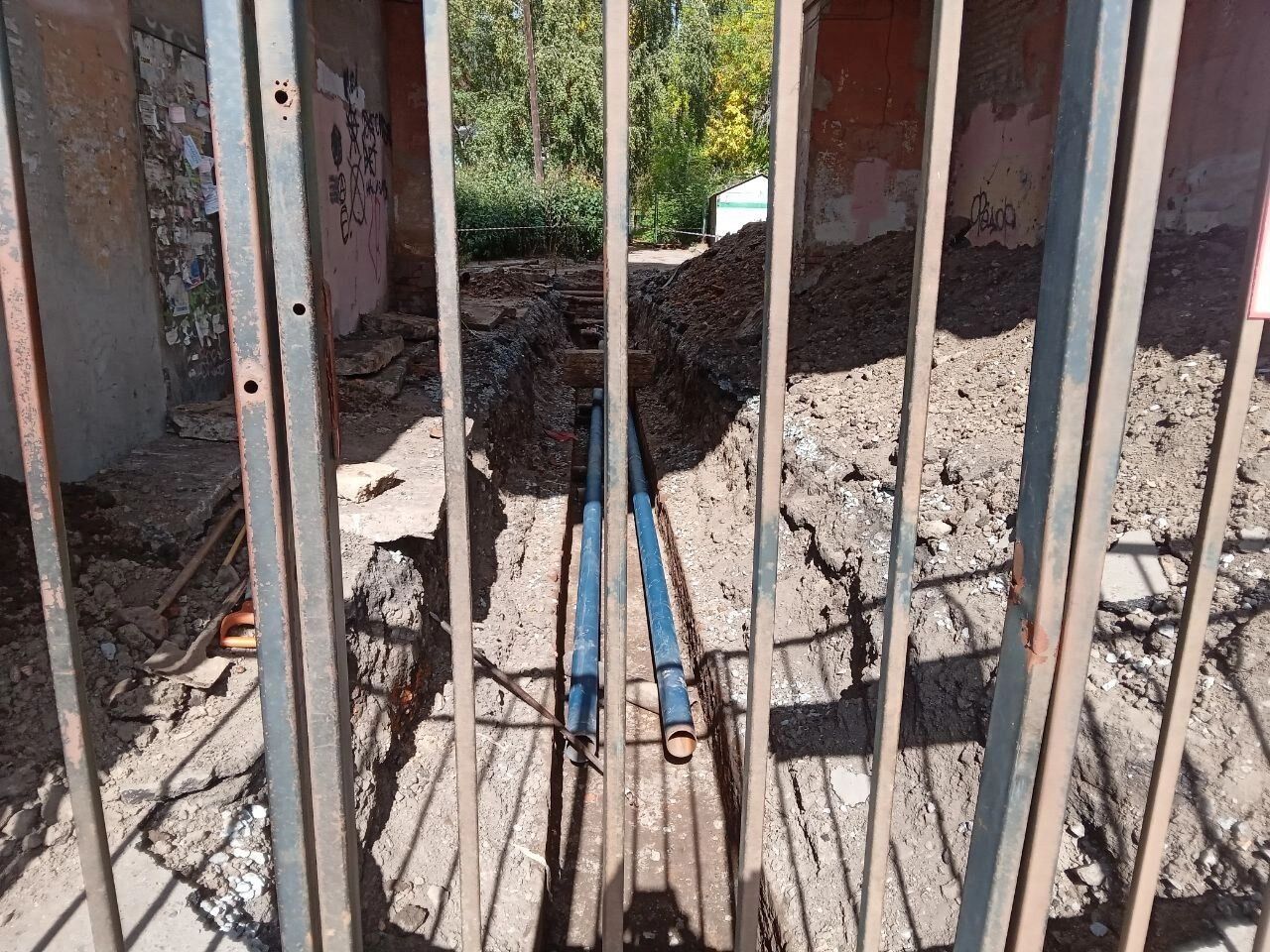 Такие "раскопки" осенью стали обычным делом