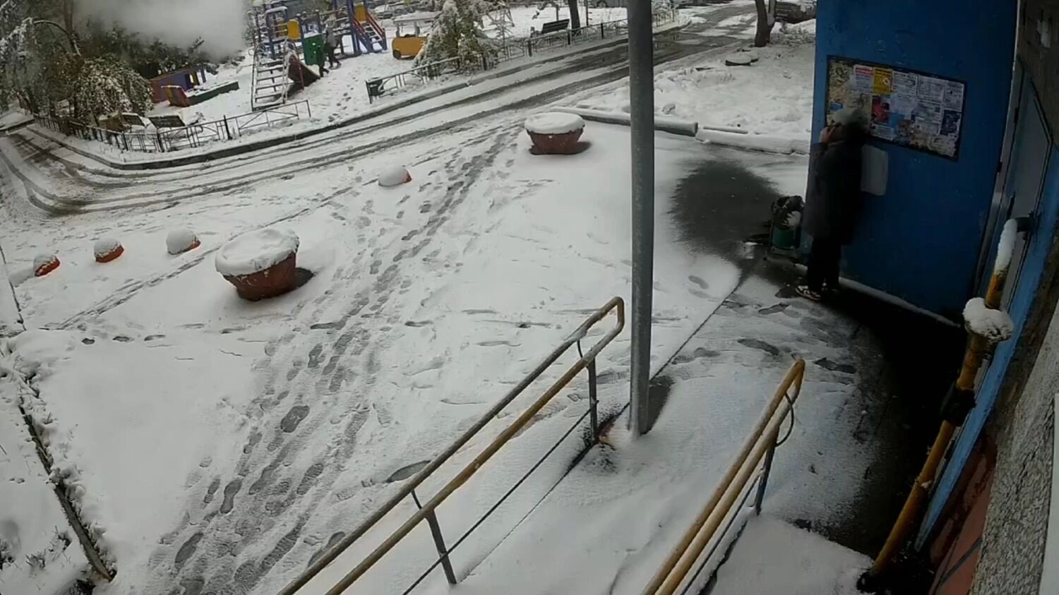 Скриншот записи с&nbsp;камеры видеонаблюдения, заснявшей момент падения веток и&nbsp;снега