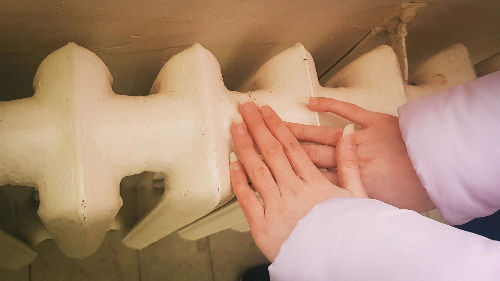 МЧС: заморозки ударят в Волгоградской области 14 и 15 апреля