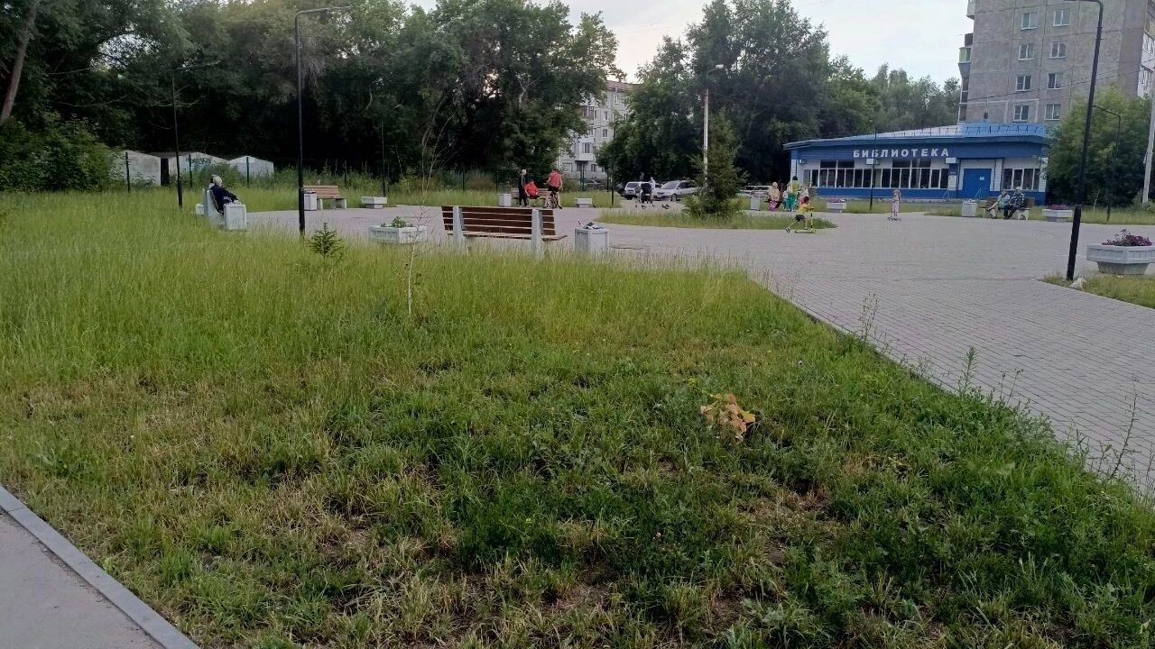 Библиотечный сквер в 2025 году