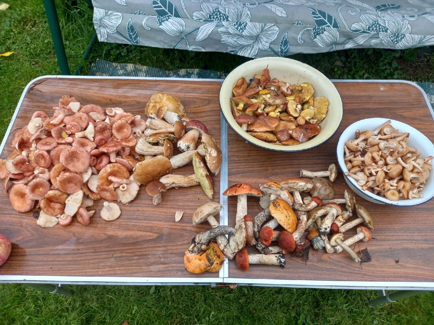 Многие грибы — червивые