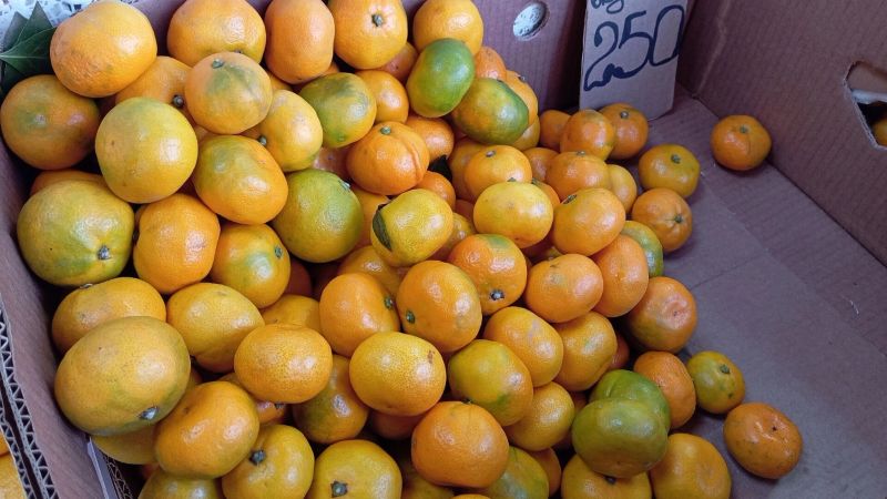 Мандариновый ценопад или предновогодний сюрприз? Что с ценами в Белгороде