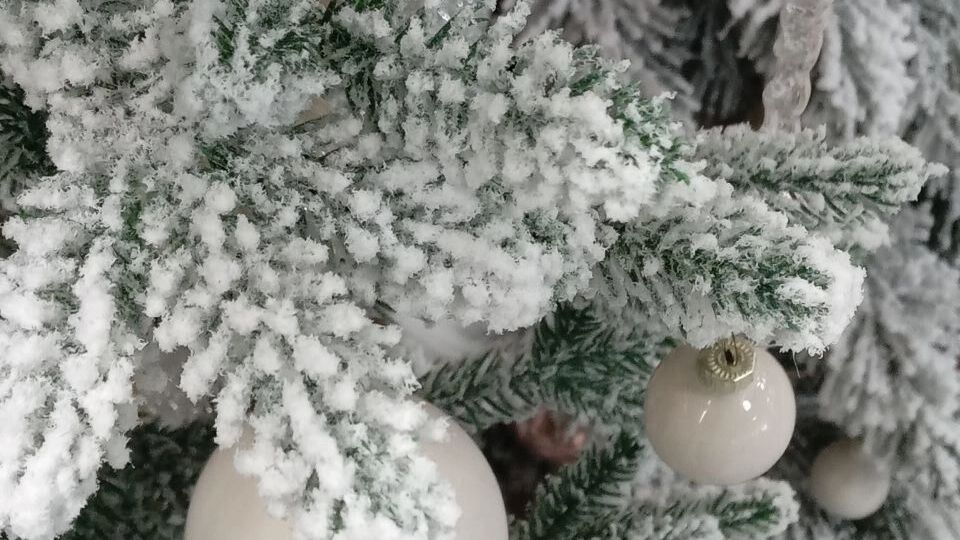 Зимние сокровища: что продают на новогодних базарах в Омске