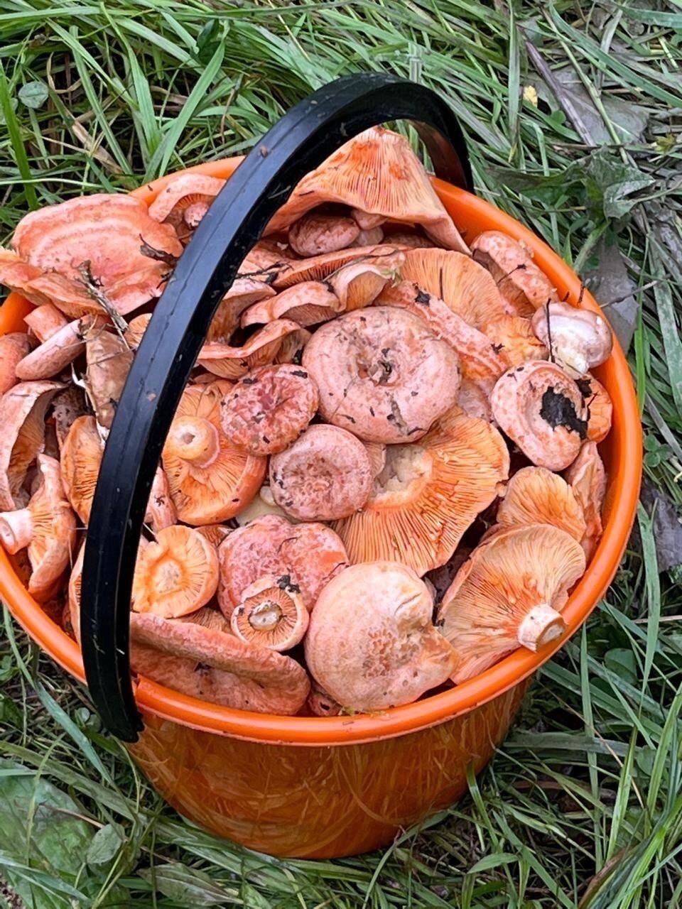 Губернатор Свердловской области Денис Паслер рассказал о&nbsp;том, что лес&nbsp;— место его силы