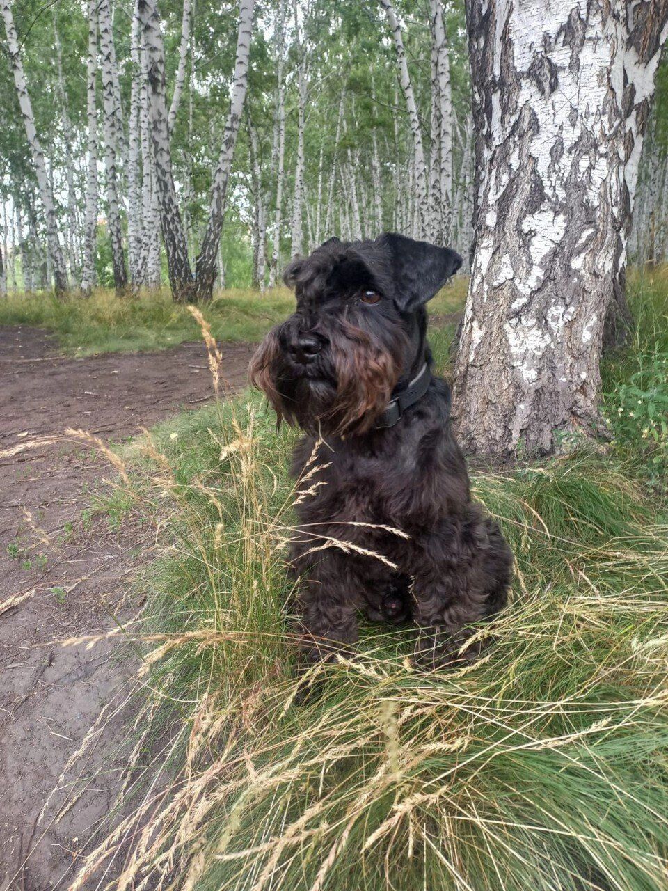 Брамс сопровождает министра на&nbsp;отдыхе