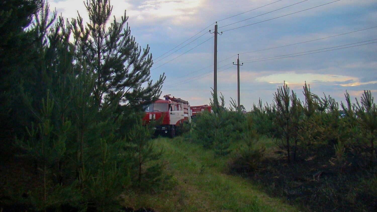 Лесной пожар у деревни Пиголи в 2010 году