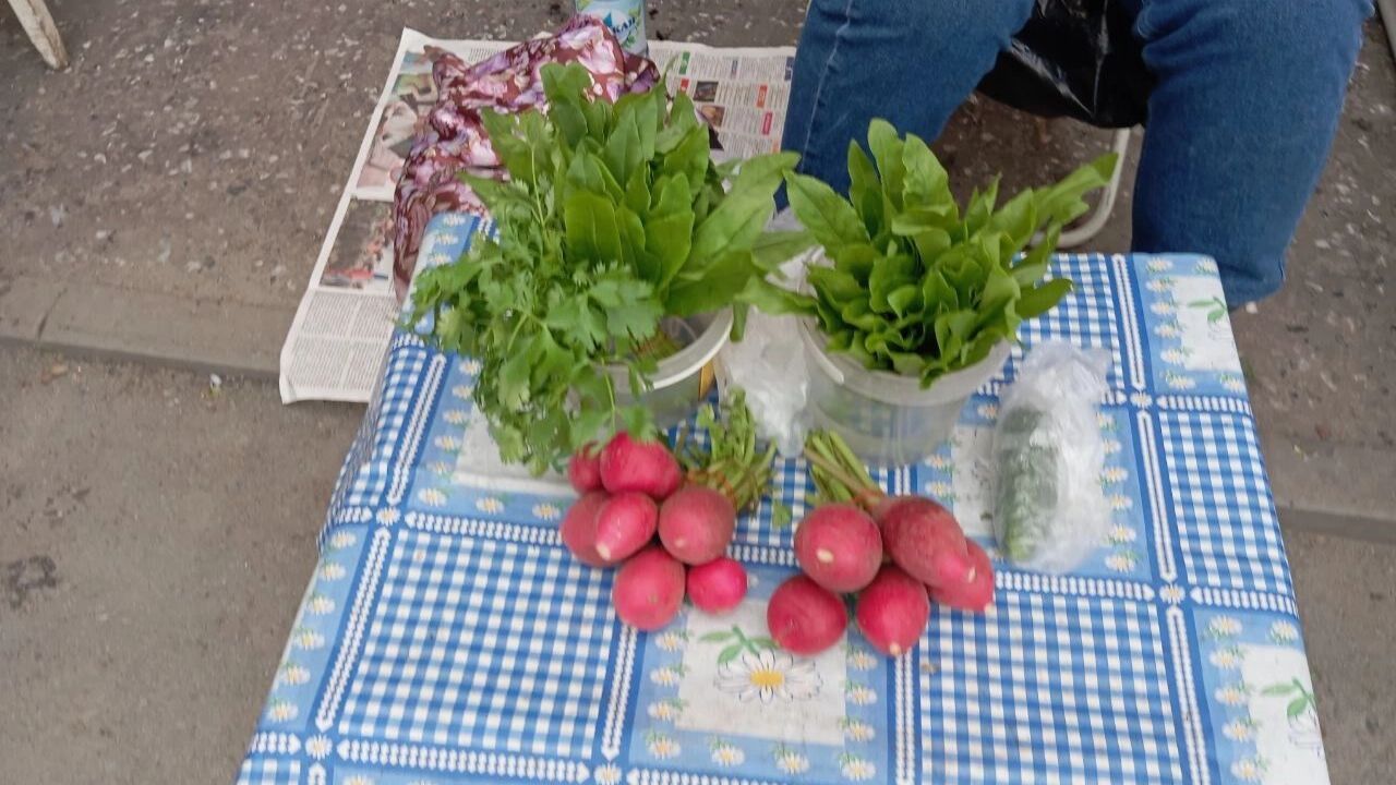 Щавель, редис и одинокий огурчик